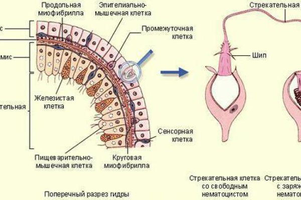 Кракен сайт kr2web in зарегистрироваться