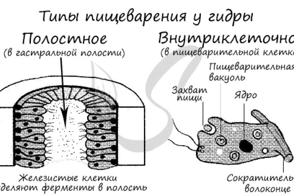 Кракен ссылка на рабочее зеркало