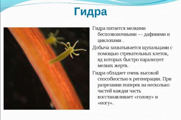 Кракен сайт пользователь не найден
