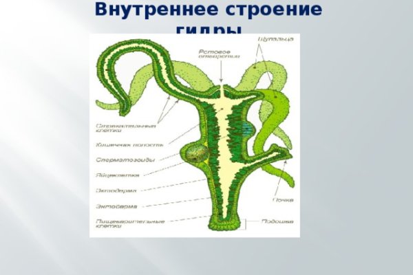 Не получается зайти на кракен