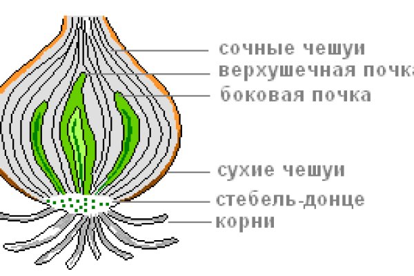 Что такое кракен сайт